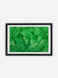 Lara Sayegh - Algae Bloom - 30x45cm