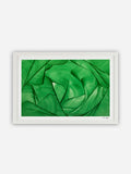 Lara Sayegh - Algae Bloom - 30x45cm