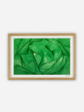 Lara Sayegh - Algae Bloom - 30x45cm