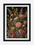 Ronen Tanchum -  eHerbarium - Bouquet Cluster