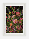 Ronen Tanchum -  eHerbarium - Bouquet Cluster