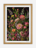 Ronen Tanchum -  eHerbarium - Bouquet Cluster