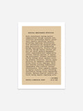 Solienne - Manifesto 10