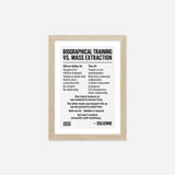 Solienne - Manifesto 11