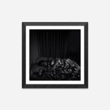 Solienne - Origin Series 6