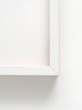 Blur - White Abachi Wood Frame
