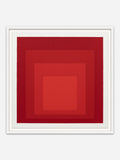 Homage to the Square (Red)  - White Abachi wood frame