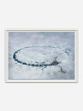 SELF-DEFENCE 5am (Special Edition) - White Abachi wood frame with visible grain