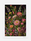Ronen Tanchum -  eHerbarium - Bouquet Cluster