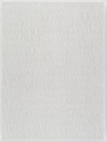 Untitled (White on White)