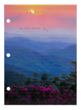 The Last Perfect Day